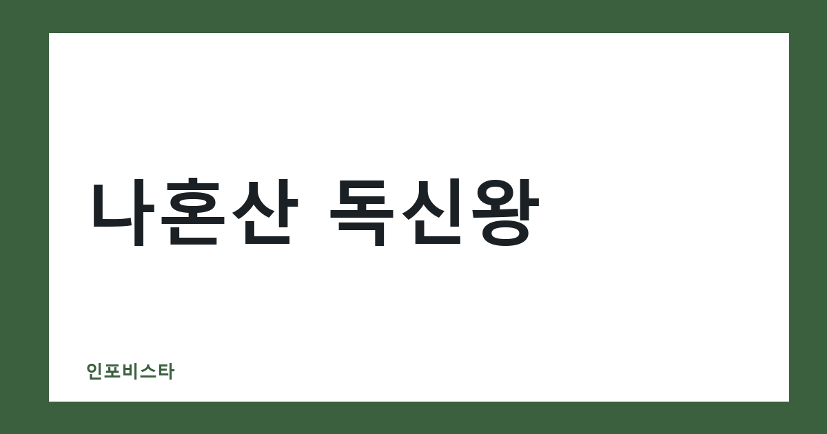 나혼산 독신왕
