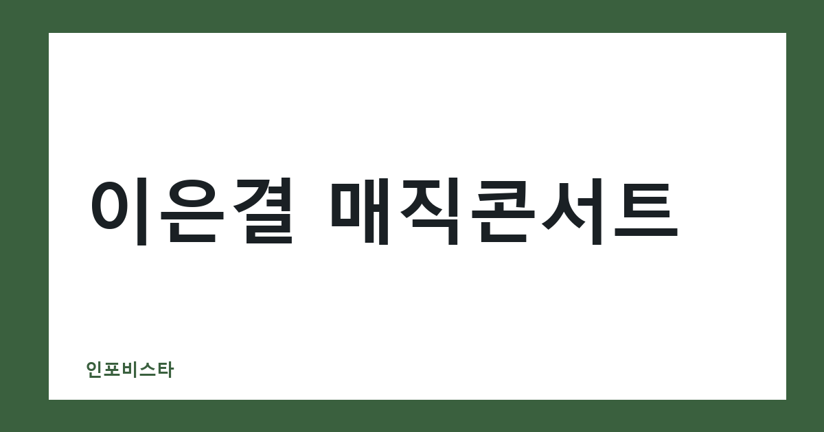 이은결 매직콘서트